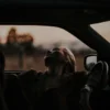 Documentación y pasos para comprar un coche de segunda mano